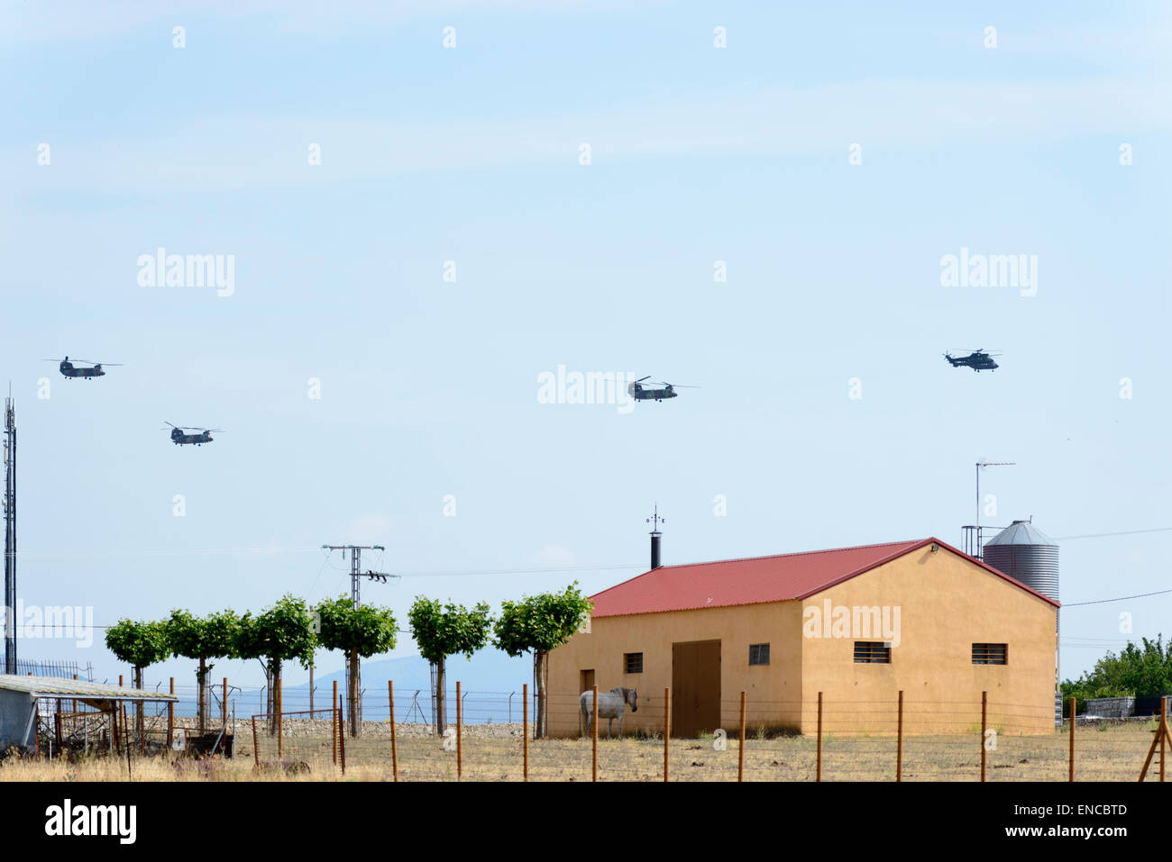 Three Boeing CH-47D Chinook helicopters flying in line with a Eurocopter Super Puma in front of the line Stock Photo