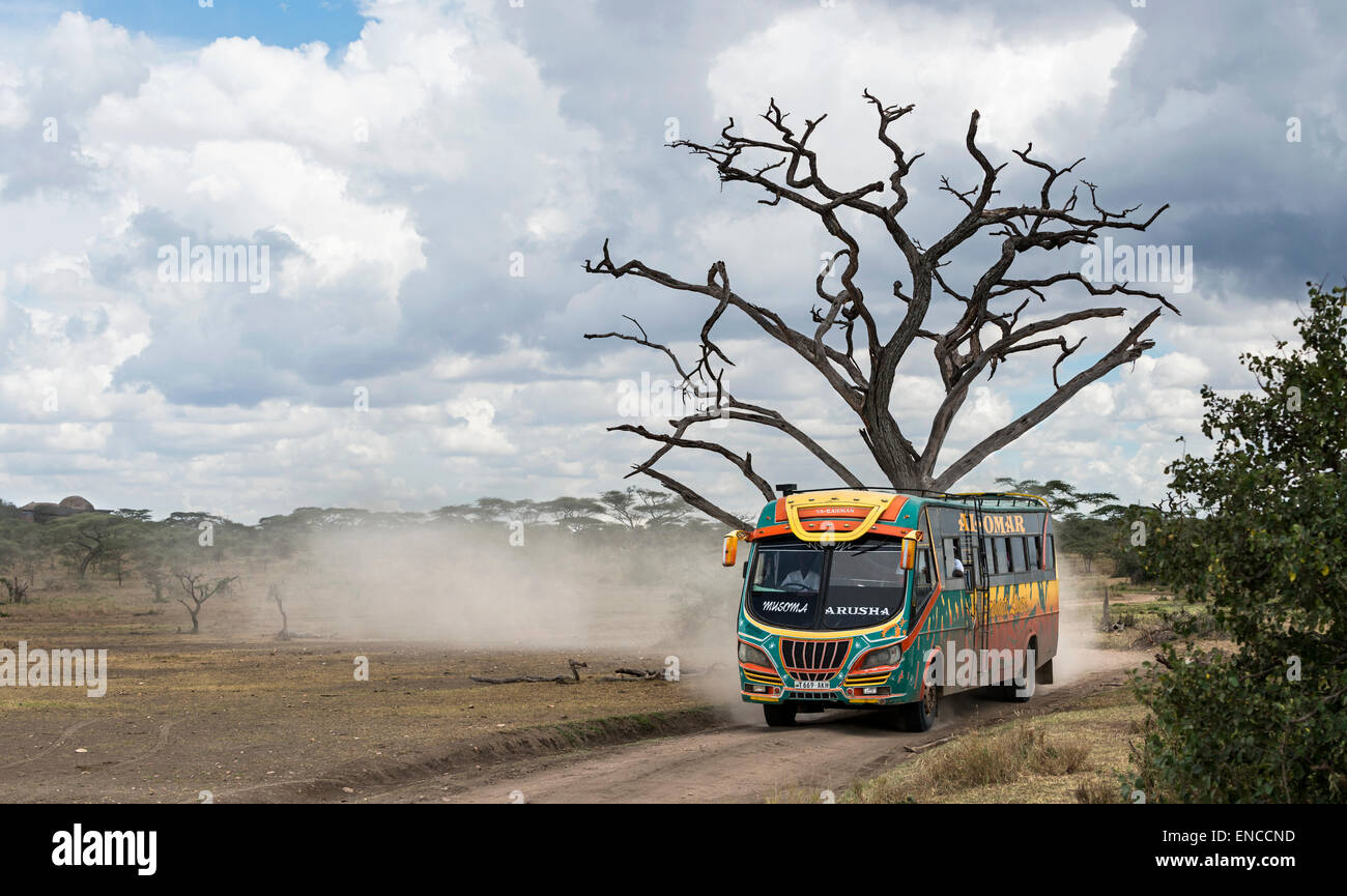 Bus in Serengeti, Tanzania, Africa Stock Photo