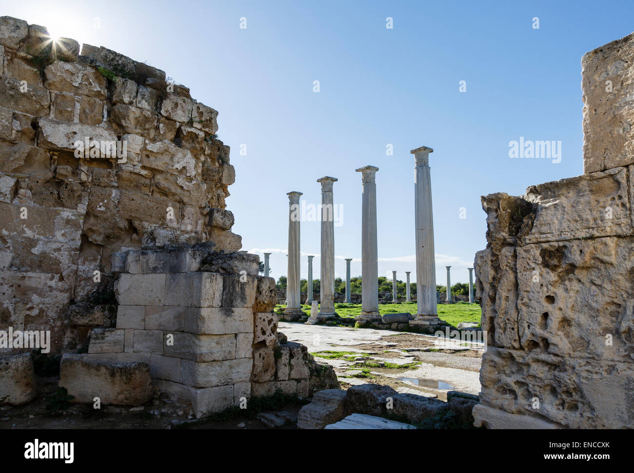 Salamis ruins, near Gazimagusa (Famagusta), Northern Cyprus Stock Photo Alamy