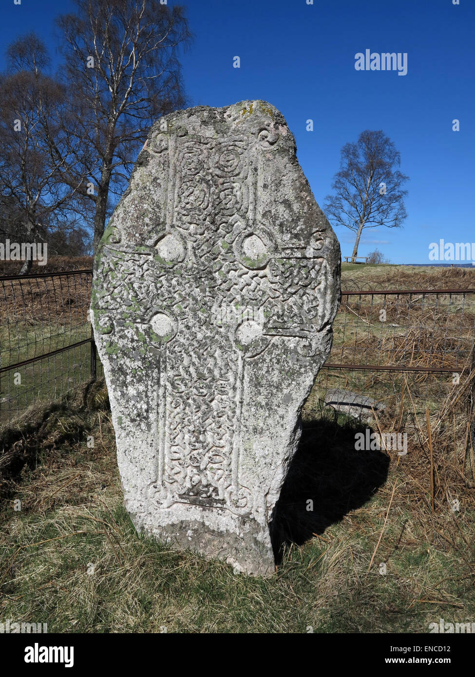 Finely carved Pictish symbol stone - Loch Kinord circuit - Muir of Dinnet - Ballater - Aberdeenshire - Scotland - UK Stock Photo