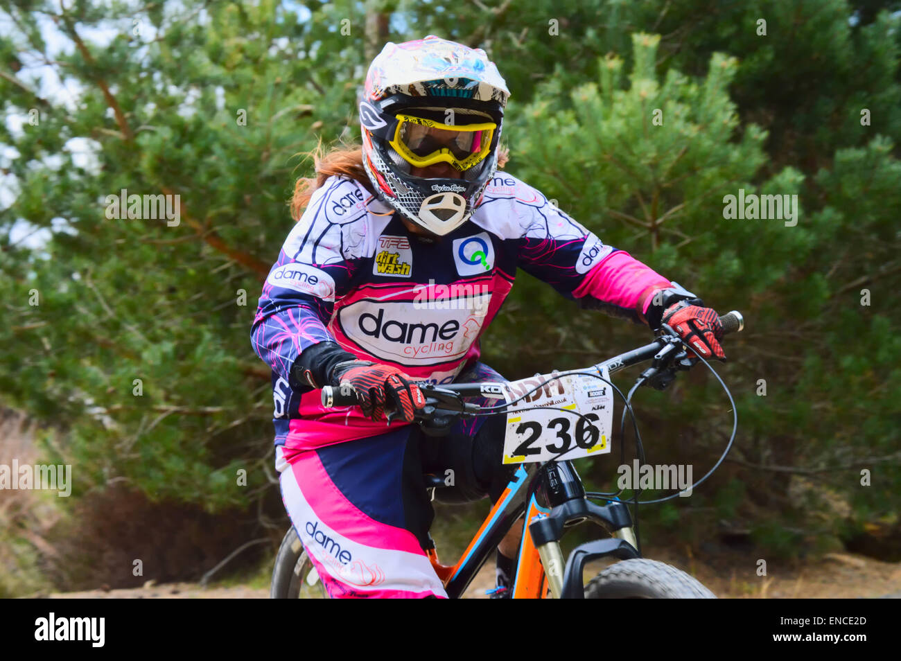 Rider during the Northern Downhill TT in Hamsterley Forest, Durham. Stock Photo