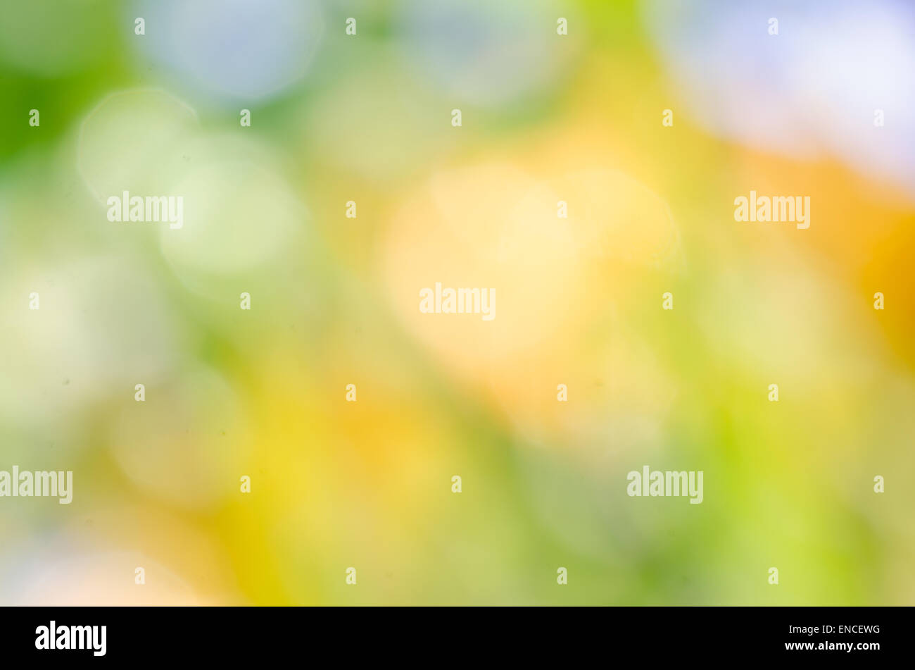 abstract spring nature bokeh background Stock Photo