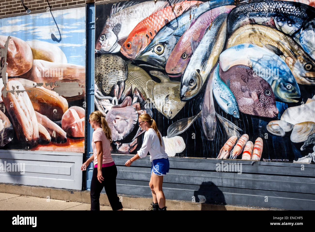 Chicago Illinois,North Side,Lincoln Park,neighborhood,community area,Carnival Finer Foods,grocery store,sidewalk,mural,fish,adult adults woman women f Stock Photo