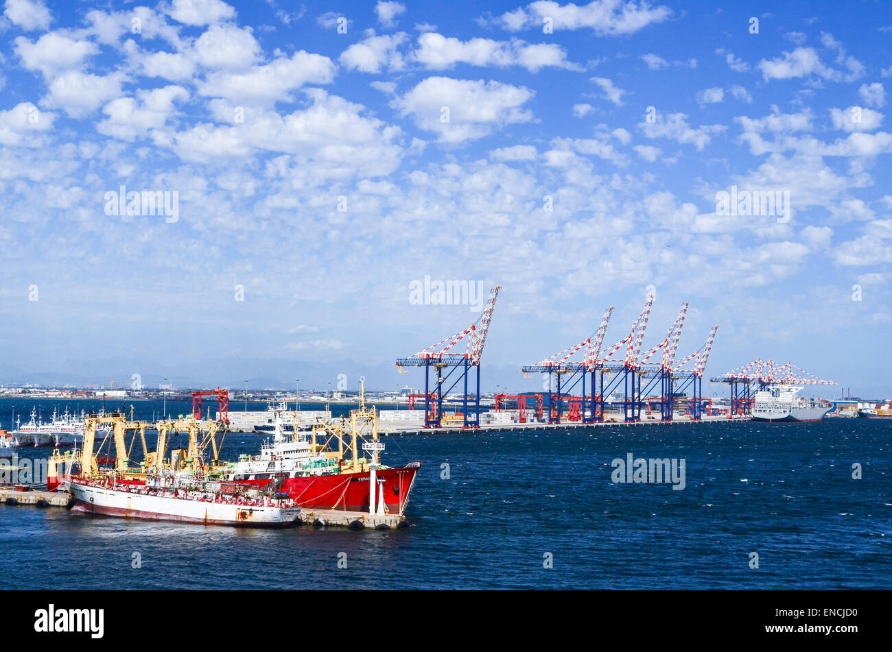 Cranes in the container terminal, port of Cape Town, South Africa Stock Photo