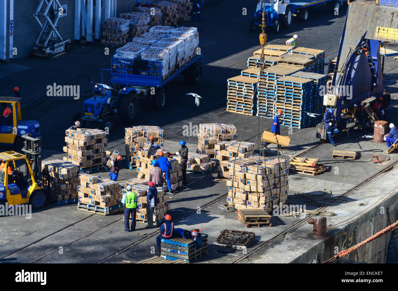 Workers at the cargo terminal in the port of Walvis Bay, Namibia Stock Photo