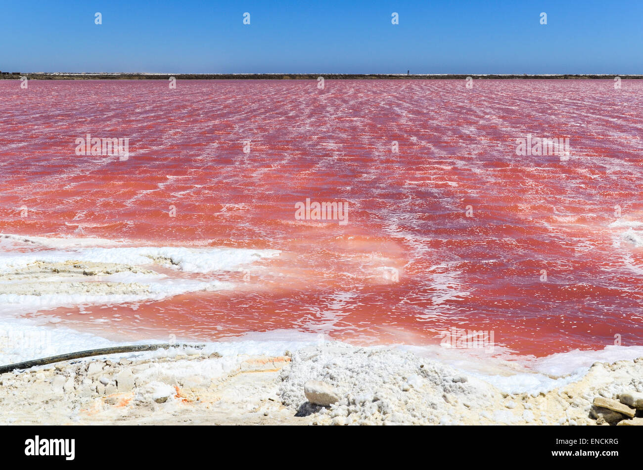 Pink water of the salt works in Walvis Bay, Namibia Stock Photo