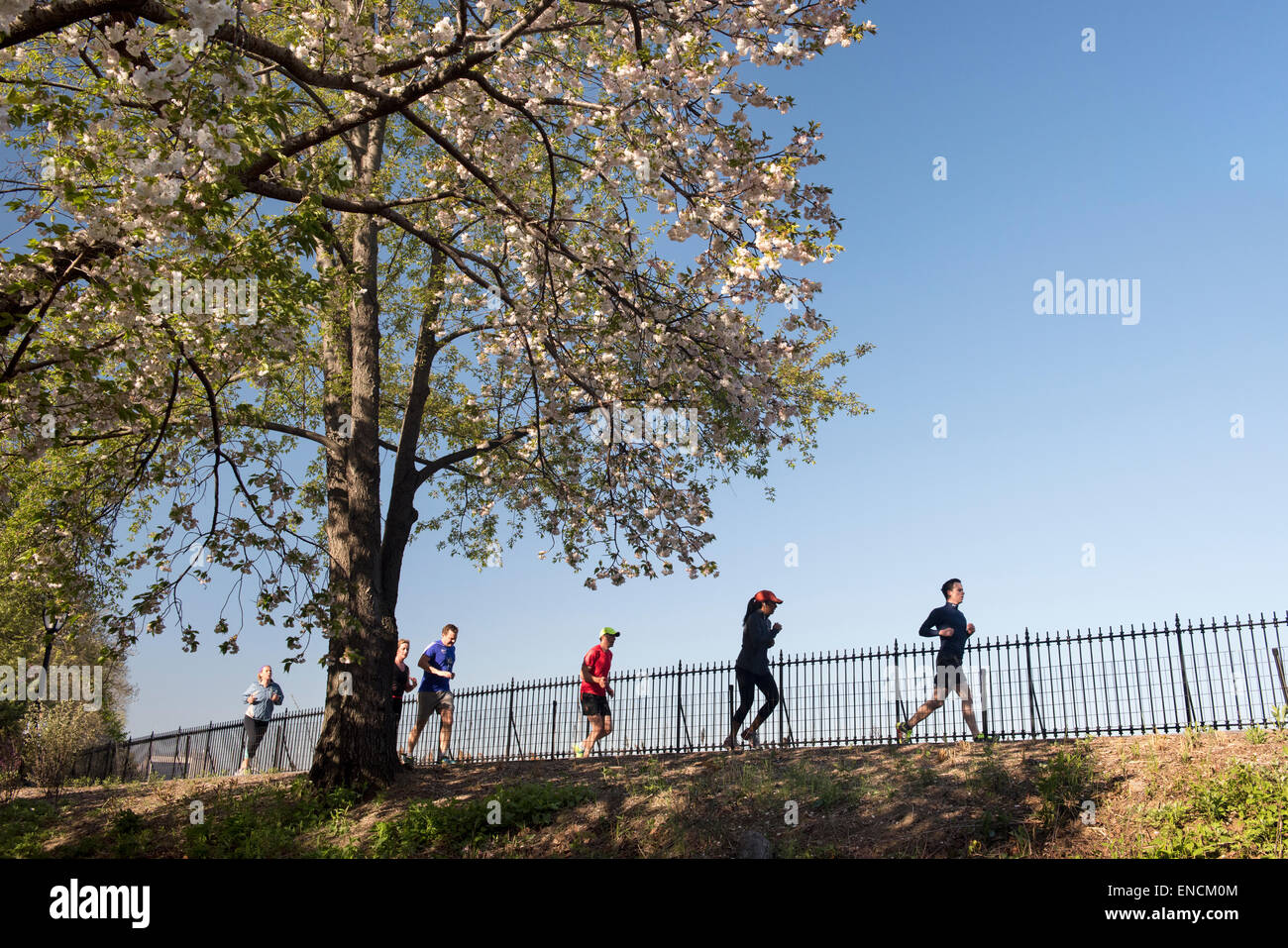 Runners at the Jacqueline Kennedy Onassis Reservoir in Central Park ...