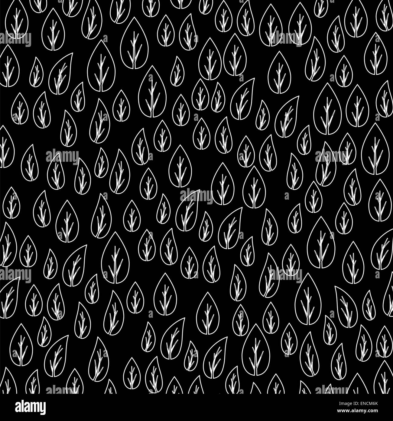 Plant many leaves Black and White Stock Photos & Images - Alamy