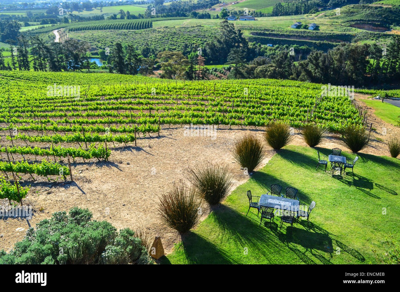 Franschhoek south africa vineyard hires stock photography and images