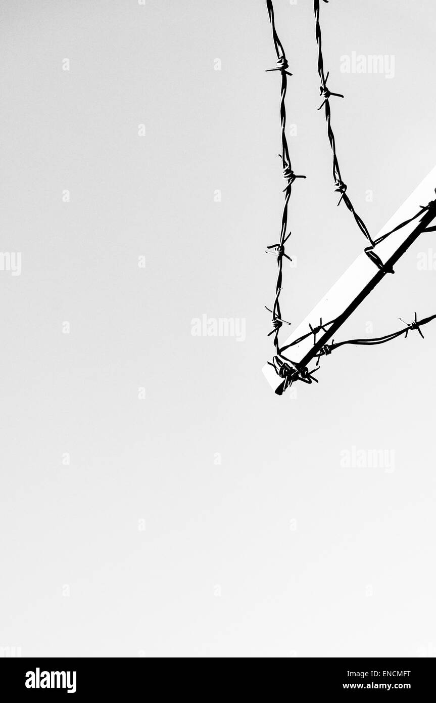Black white image barbed wire hi-res stock photography and images - Alamy