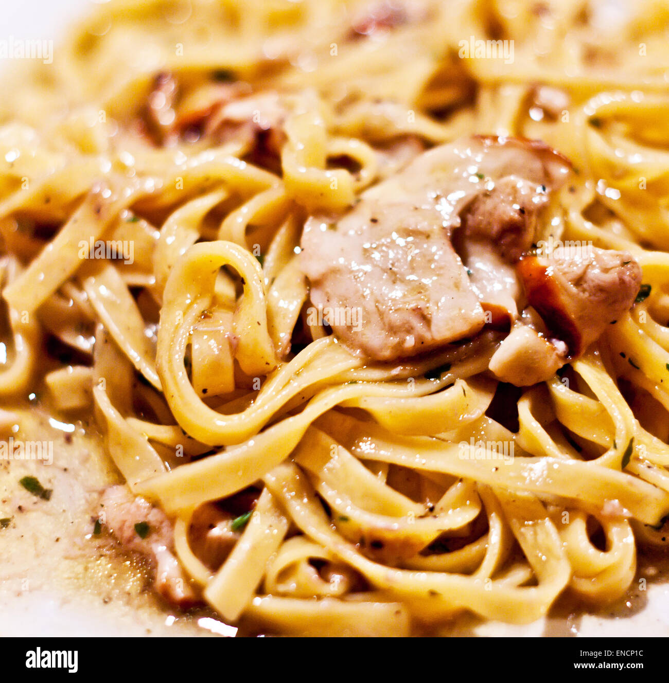 Fresh egg noodles with mushrooms " porcini " and parmesan cheese Stock Photo Alamy