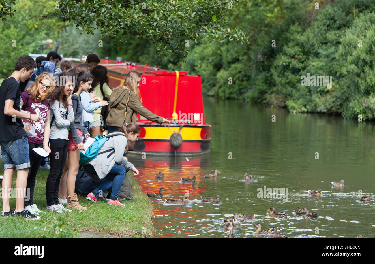 Young people feeding the ducks on the Oxford Canal, in Oxford, Oxfordshire, England, UK Stock Photo