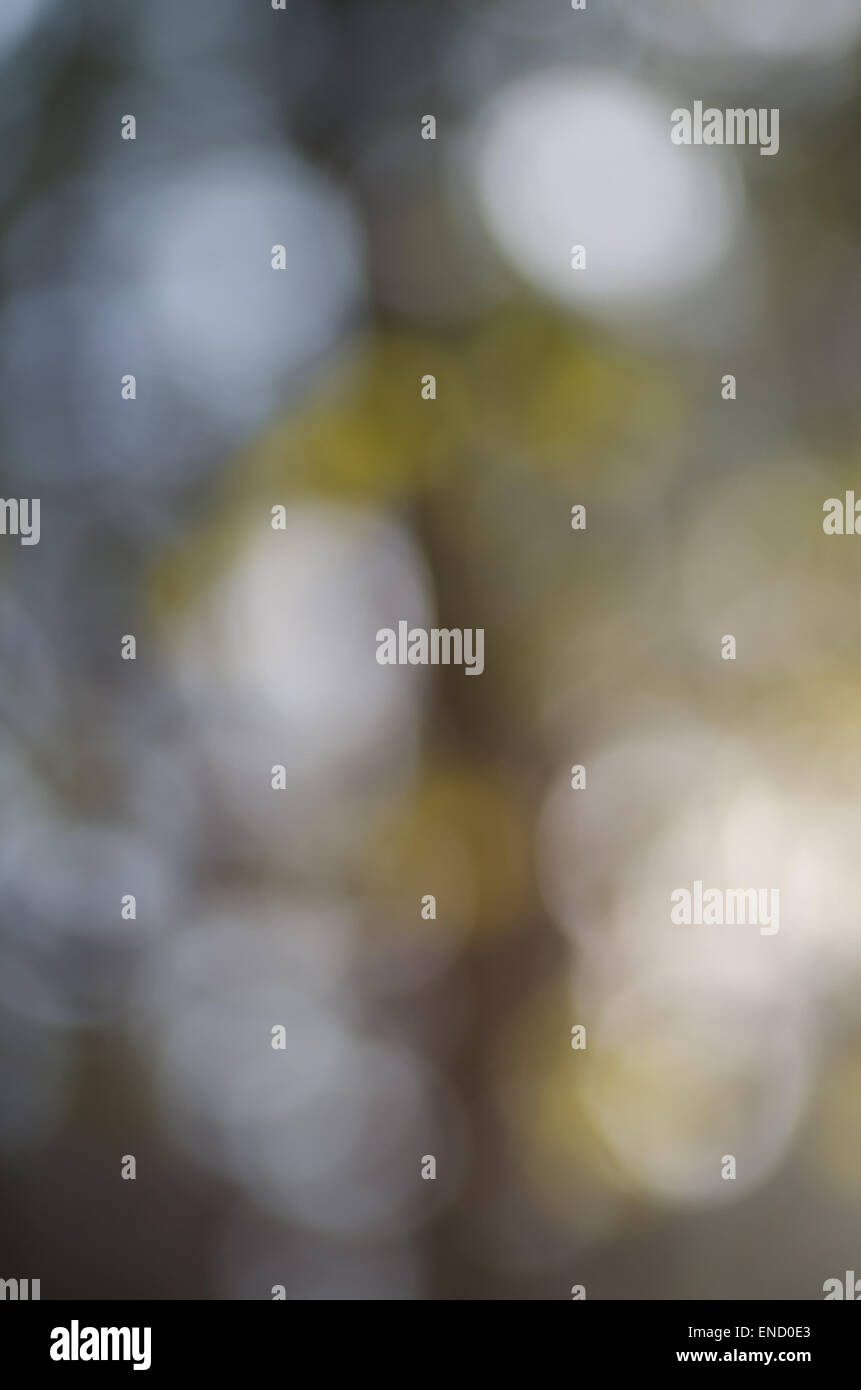 Abstract nature bokeh background hi-res stock photography and images ...