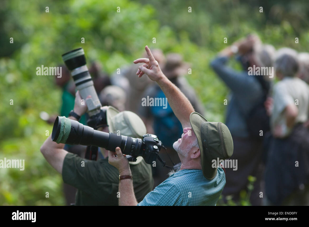 Eco-tourist photographers following avian subjects within rainforests of Ghana. West Africa. Stock Photo