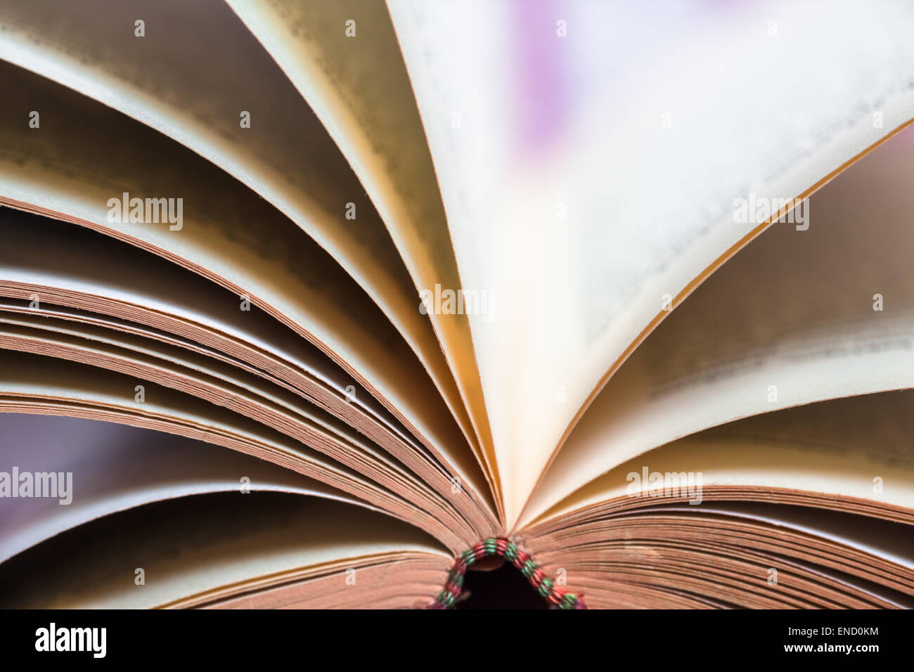 Close up of middle of paper book pages that turning over around Stock