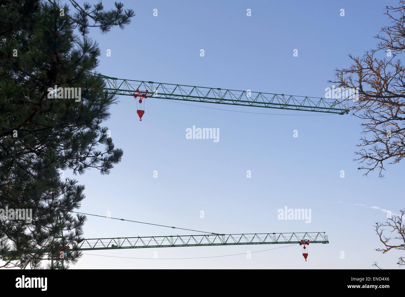 Two cranes on background of early morning sky Stock Photo