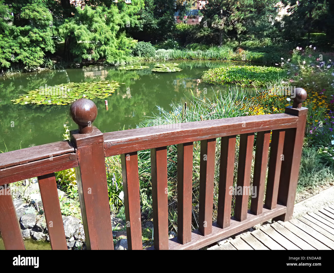 Wooden bridge in the forest hi-res stock photography and images - Alamy