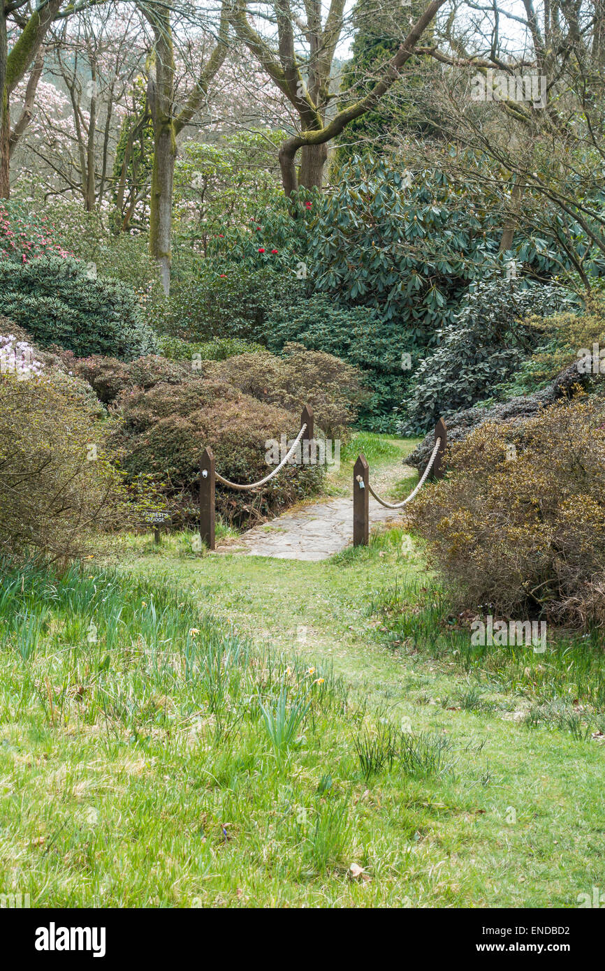 High Beeches Garden  Handcross, Haywards Heath, West Sussex Stock Photo