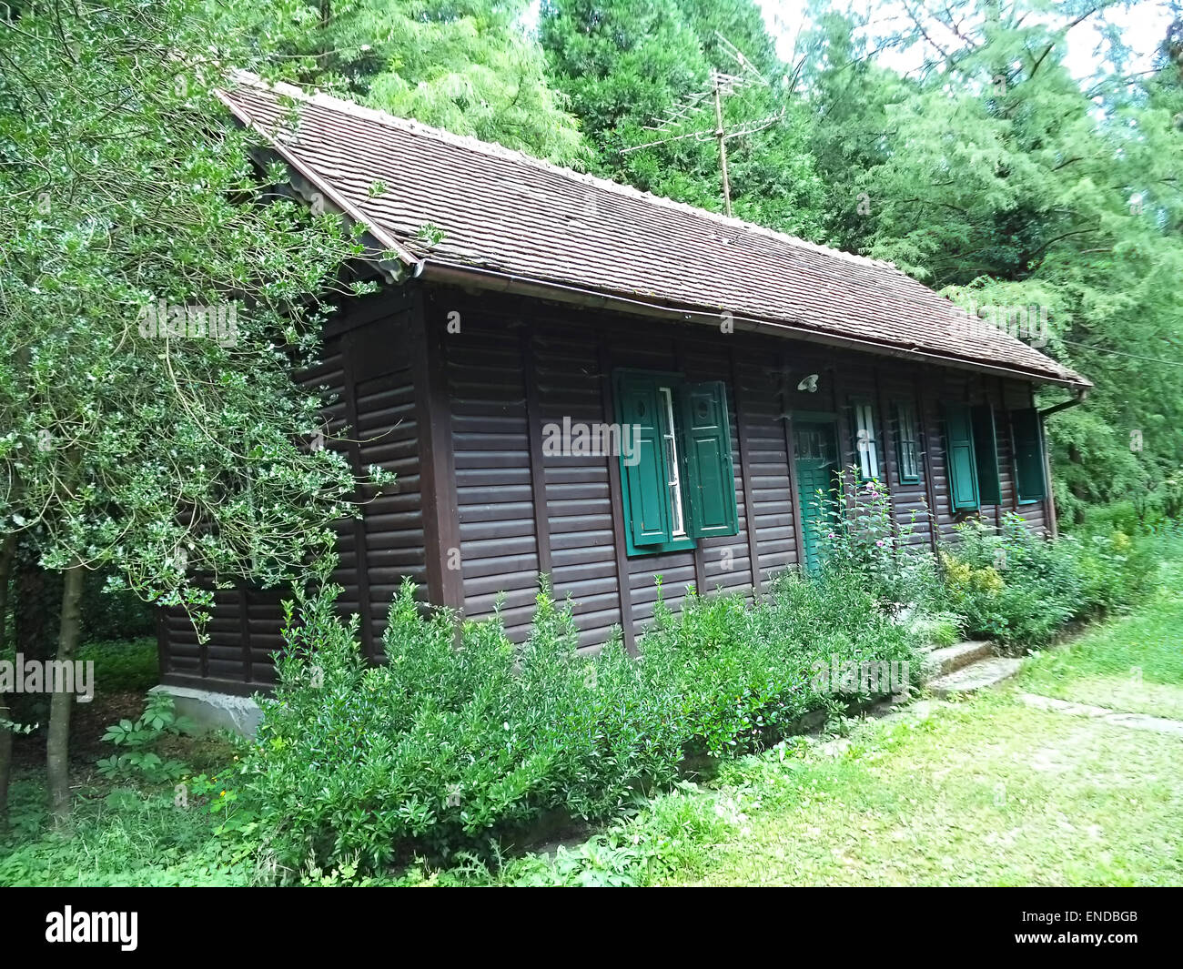 Log cabin in the woods Stock Photo Alamy