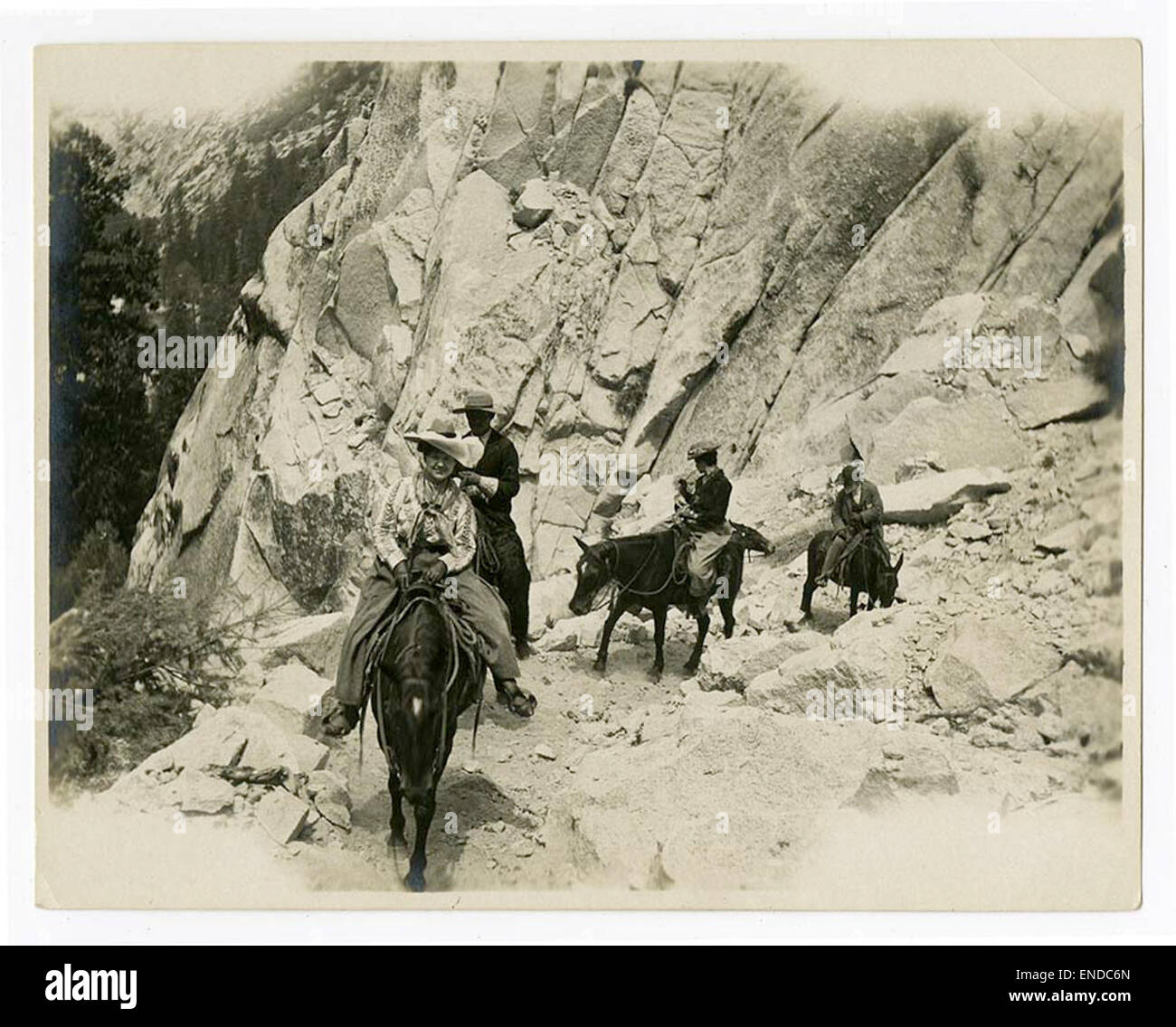 [Estelle Carpenter and friends on muleback, Yosemite] Stock Photo