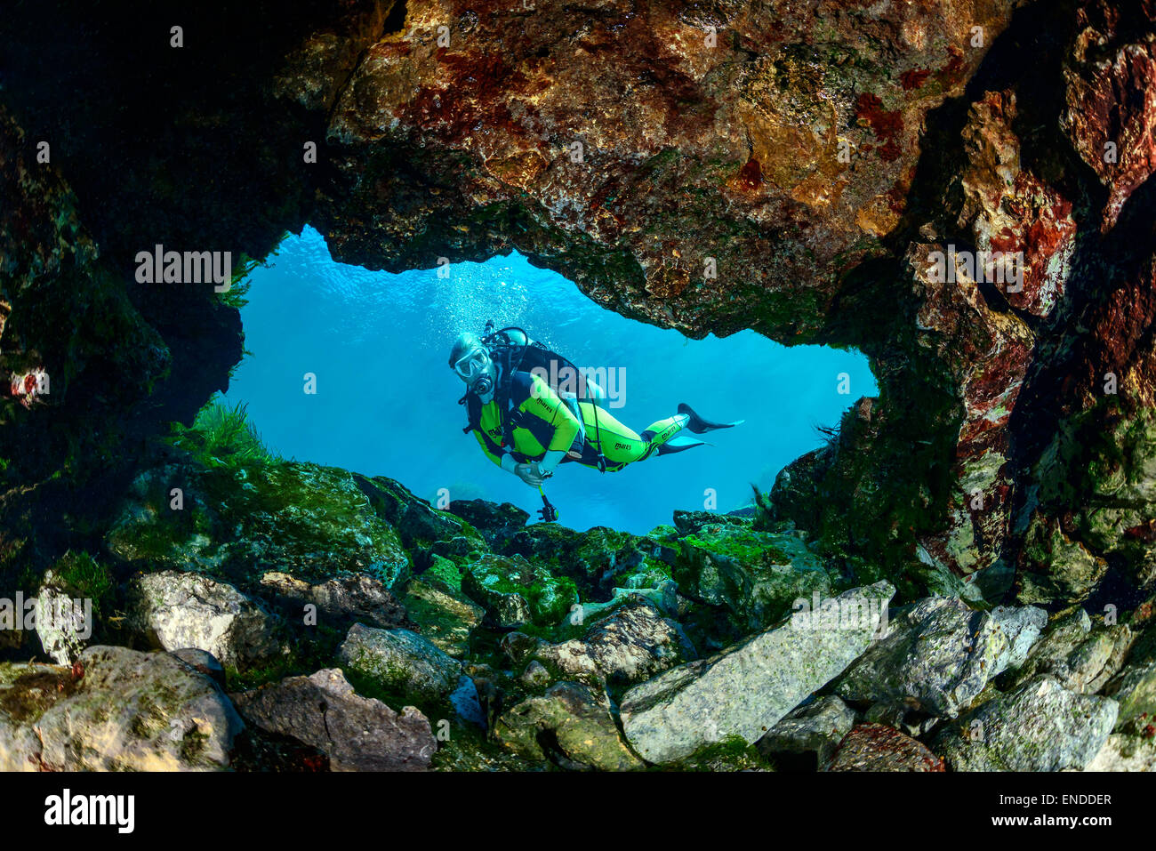 scuba diver in a small spring in the Rainbow River, Rainbow River, Dunnellon, Marion County, Florida, United States, USA Stock Photo