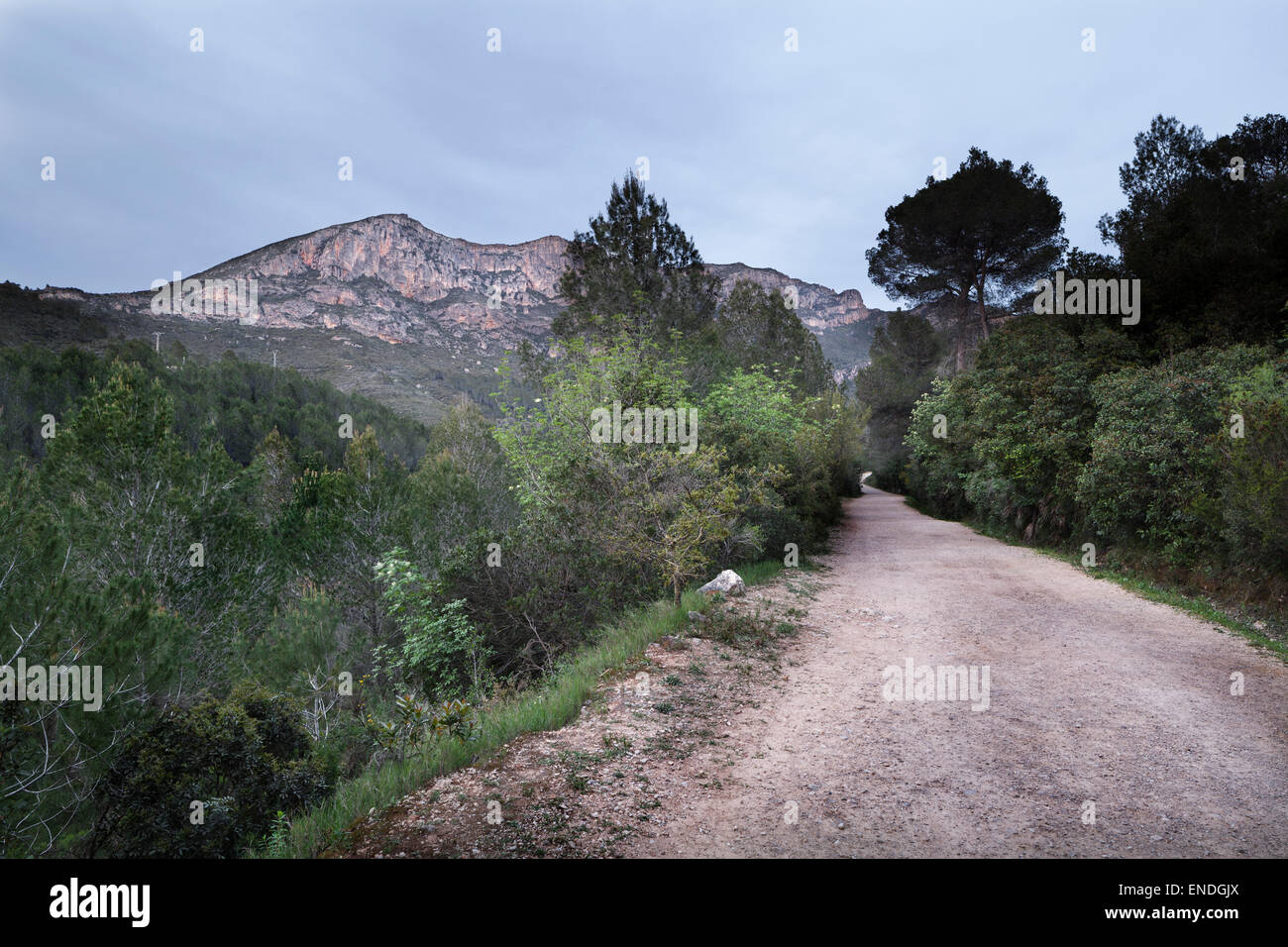 Footpath in the La Murta Valley leading to Santa Maria de la Murta Monastery near Alzira, Valencia, Spain Stock Photo