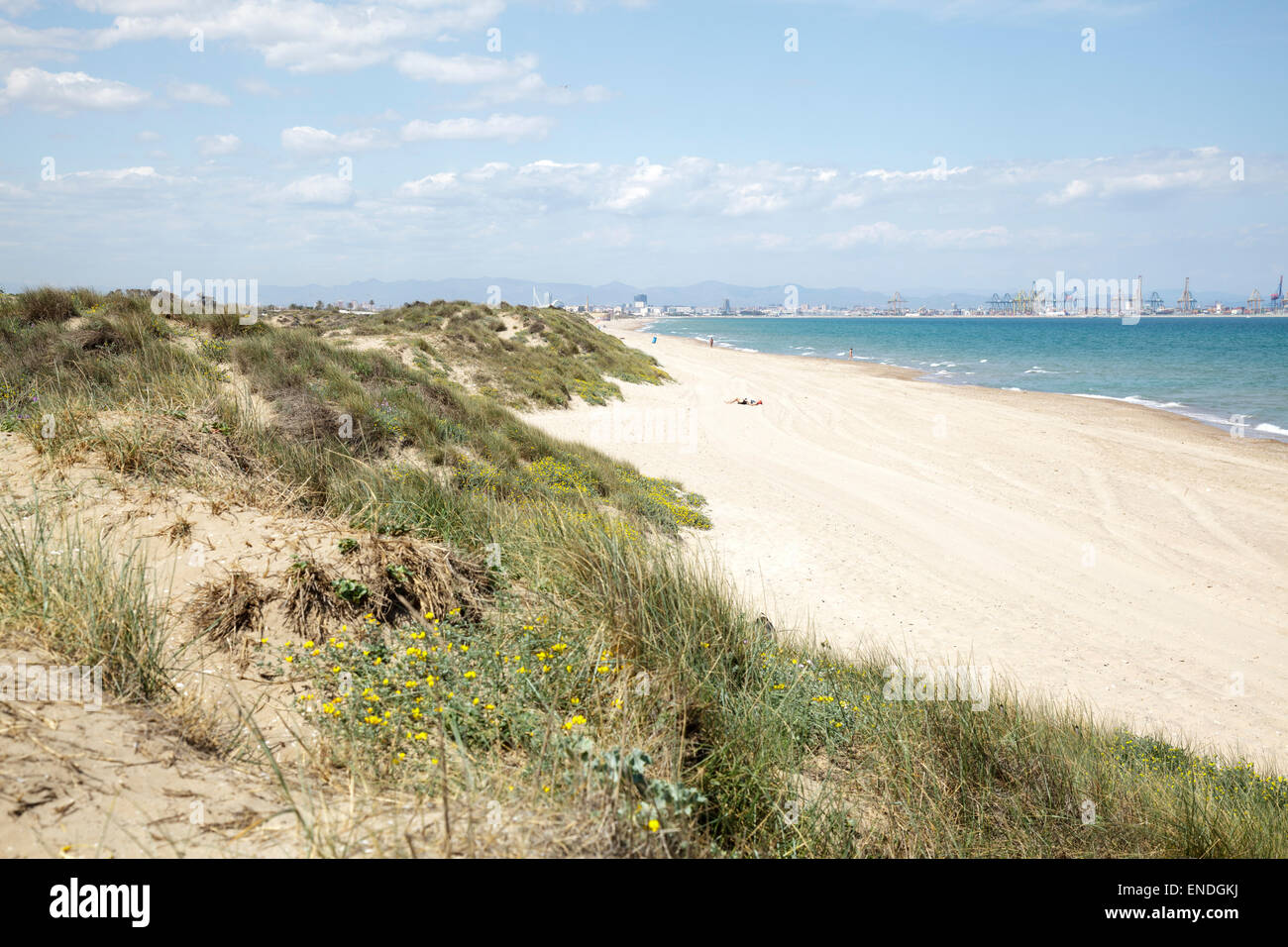 Beach at El Saler, with view towards Valencia, Valencia, Spain Stock Photo