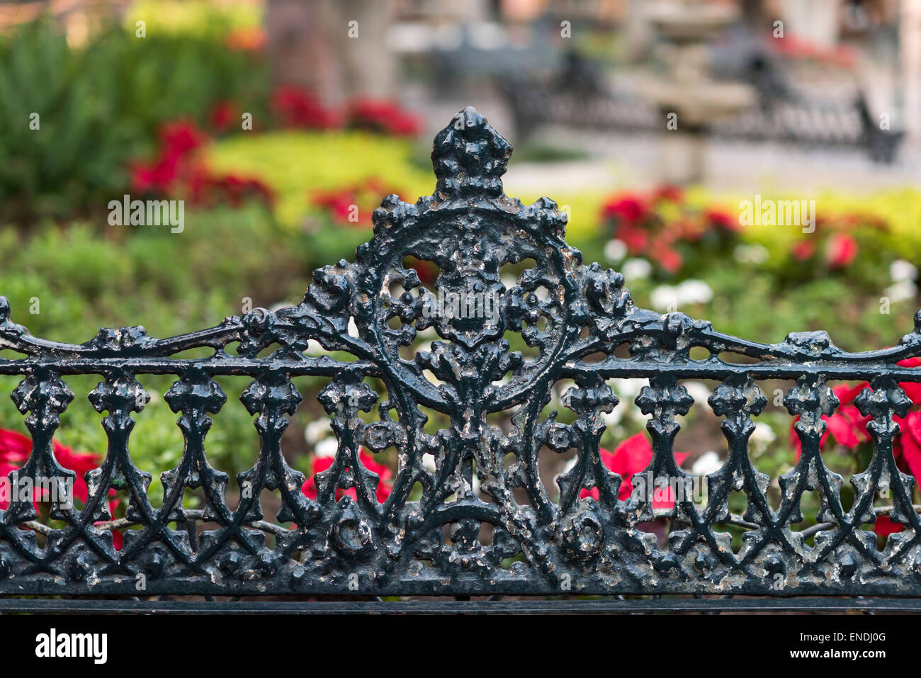 Ornate iron bench at El Jardin in San Miguel de Allende in Mexico Stock Photo