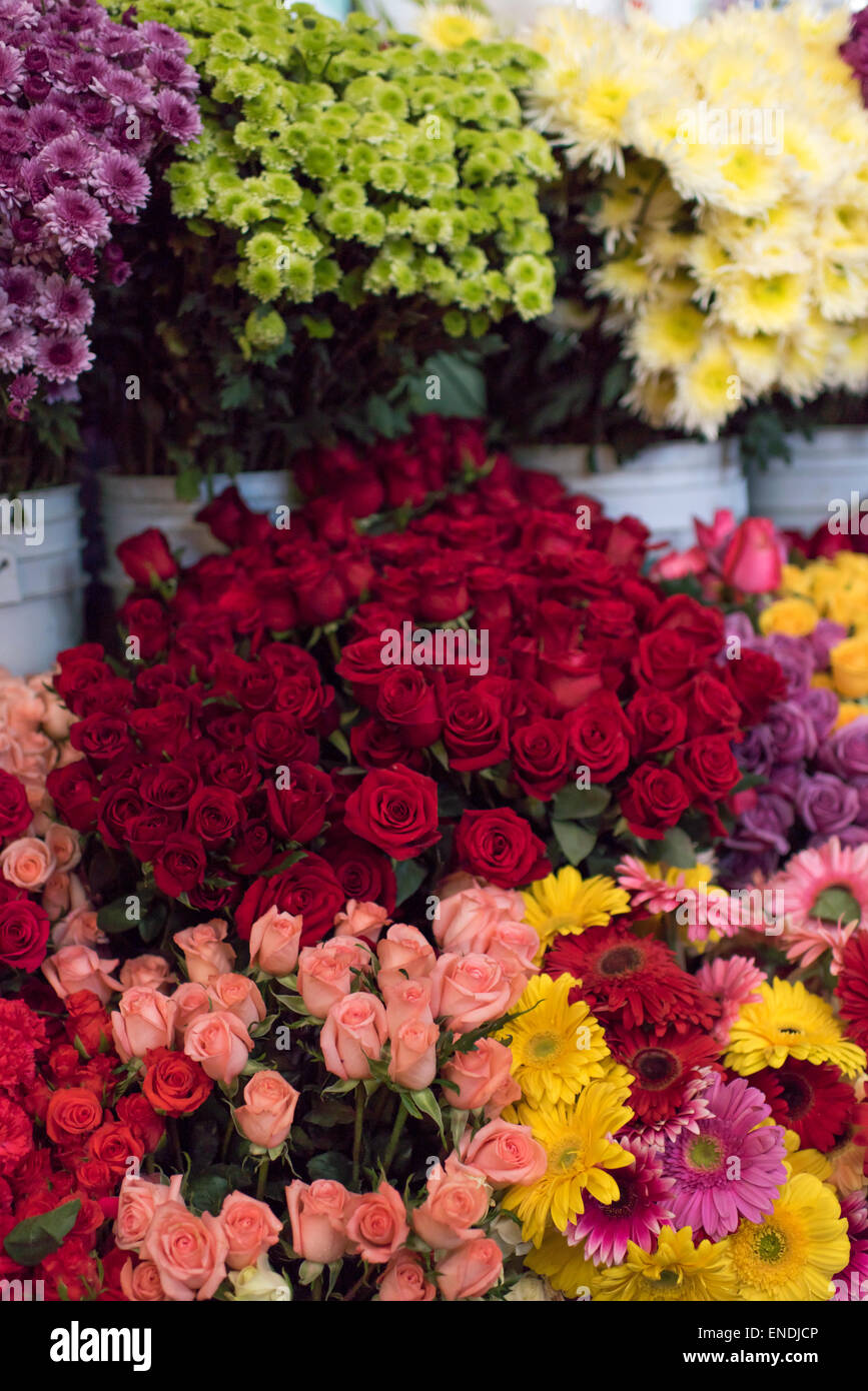 Colorful flowers on display at outdoor market in San Miguel de Allende in Mexico Stock Photo