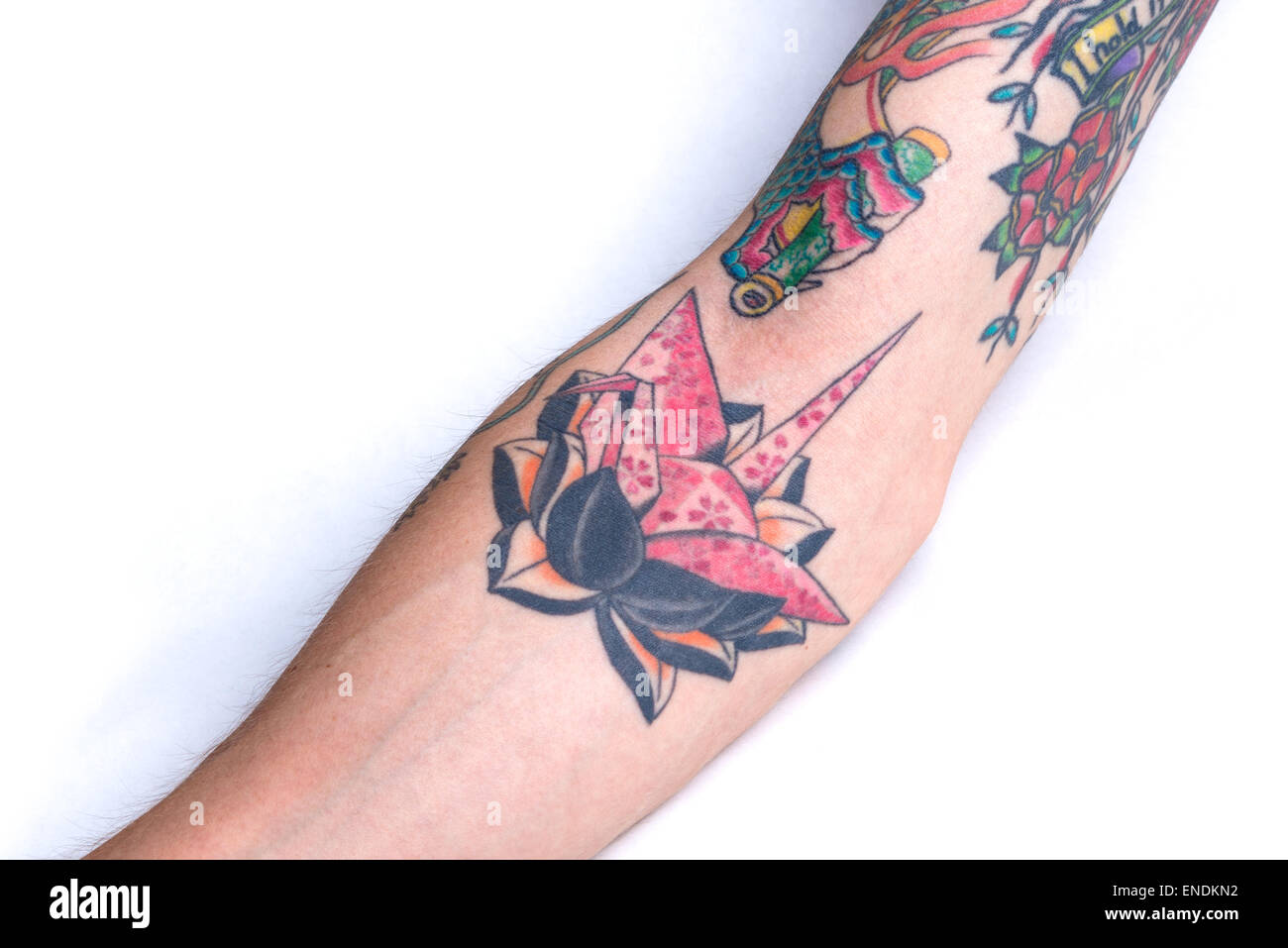 A tattoo of an origami pink crane with a cherry blossom pattern on a black lotus surrounded by bits of other tattoos on a forear Stock Photo
