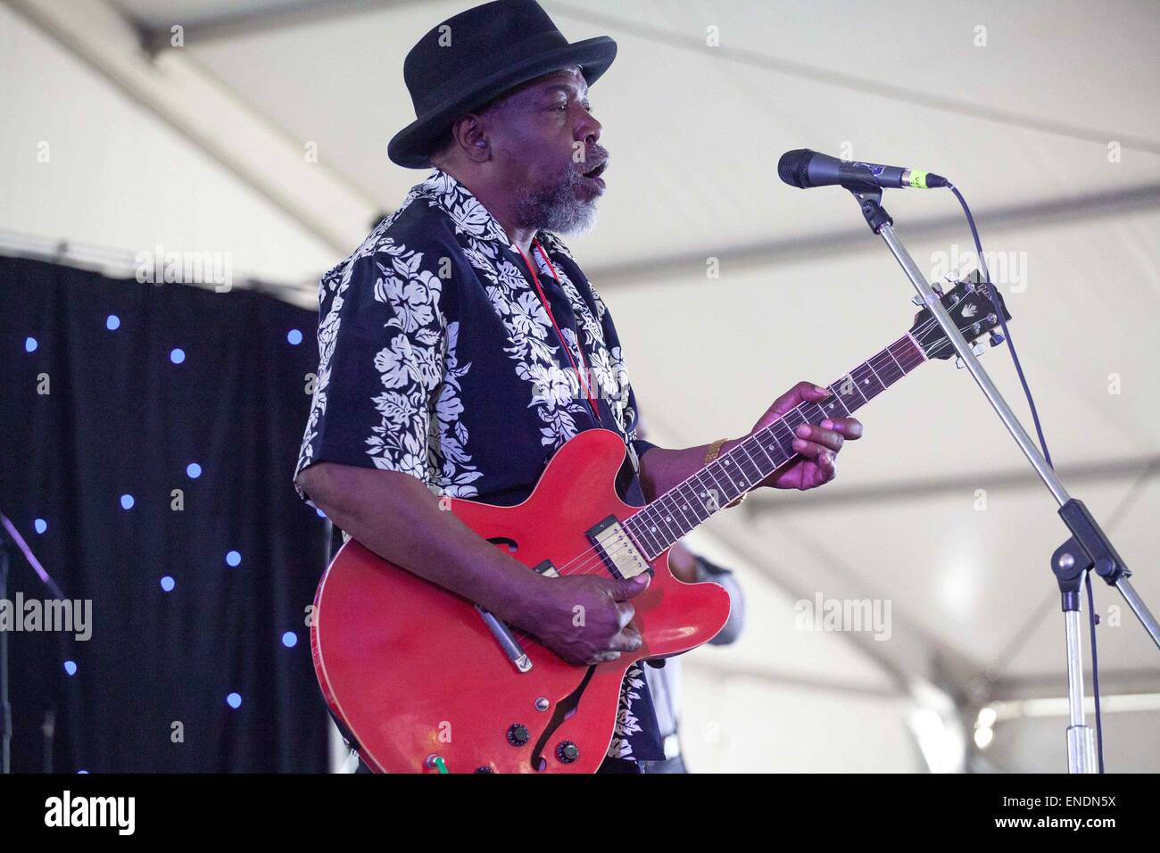 May 2, 2015 - Memphis, Tennessee, USA - Blues legend LURRIE BELL steals the show Saturday evening at the Beale Street Music Festival in Memphis, Tennessee. (Credit Image: © Raffe Lazarian/ZUMA Wire/ZUMAPRESS.com) Stock Photo