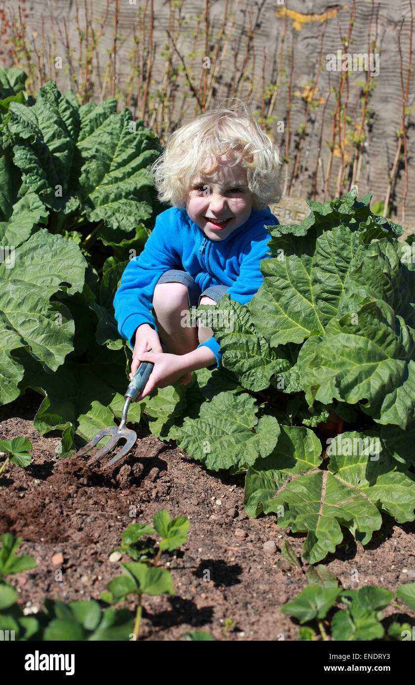 Blonde haired boy digging in the garden on sunny day Stock Photo