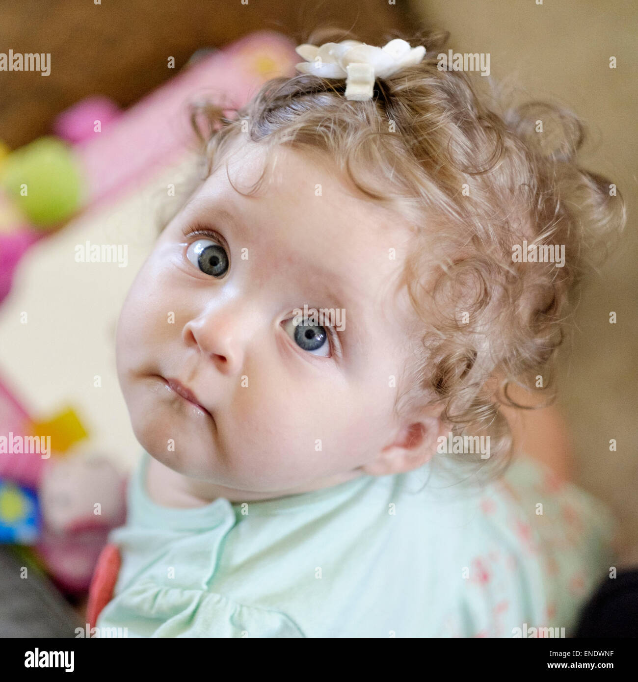 A 5 month old Caucasian baby girl looks up. Close up. USA Stock Photo