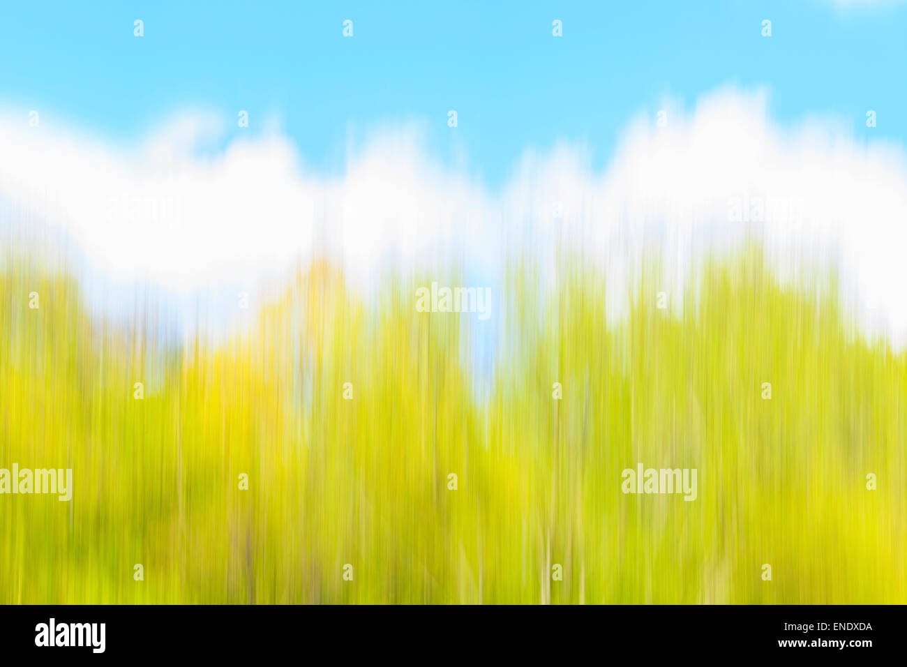 Abstract motion blurred nature background with blue sky, clouds and trees. Stock Photo