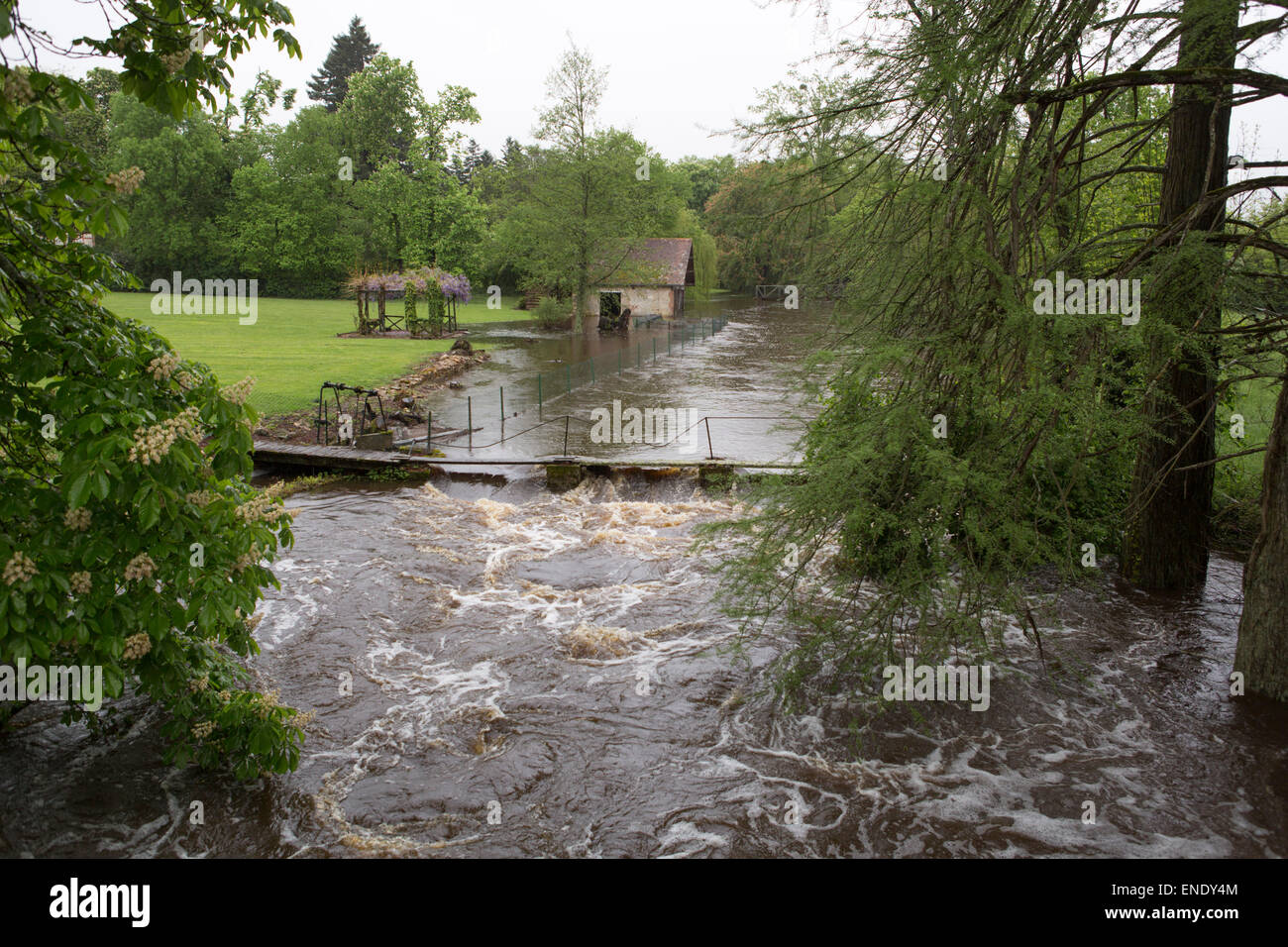 Water flooding in spring at river La Cher close to Thénioux, Loir-et-Cher, in France Stock Photo
