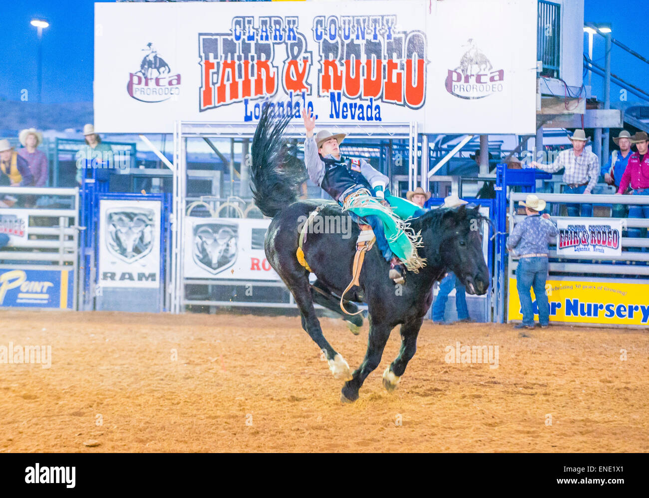 Cowboy Participating in a Bucking Horse Competition at the Clark County ...