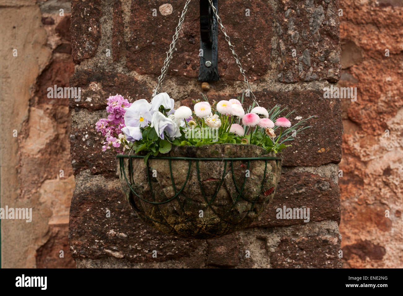 Hanging basket with flowers hi-res stock photography and images - Alamy