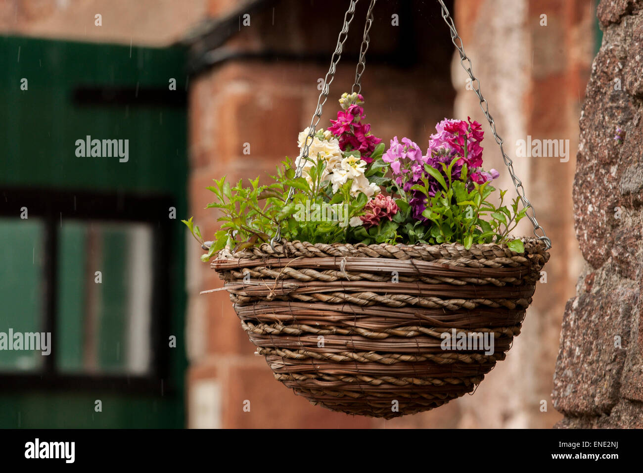 Hanging basket of flowers Stock Photo