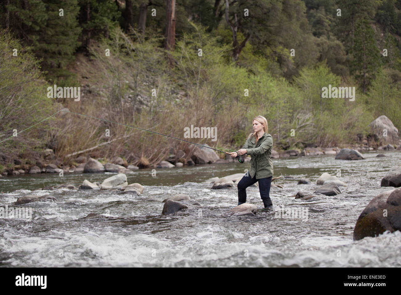 A young woman fly fishing in a fast moving river in the Sierra Nevada Mountains in Northern California. Stock Photo
