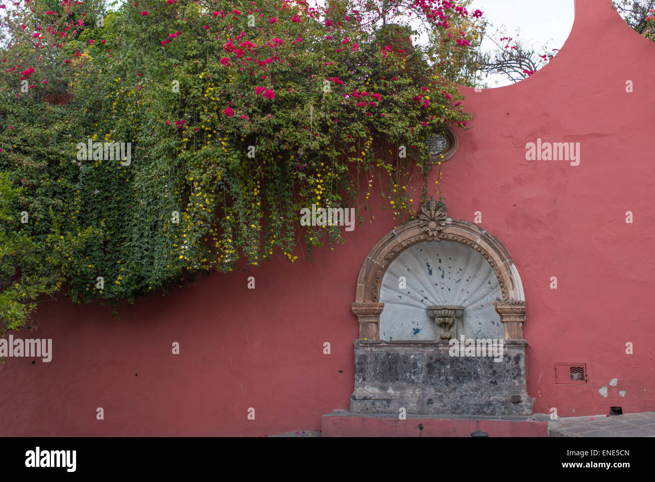 Blooming bougainvillea by water fountain on street in San Miguel de Allende Mexico Stock Photo