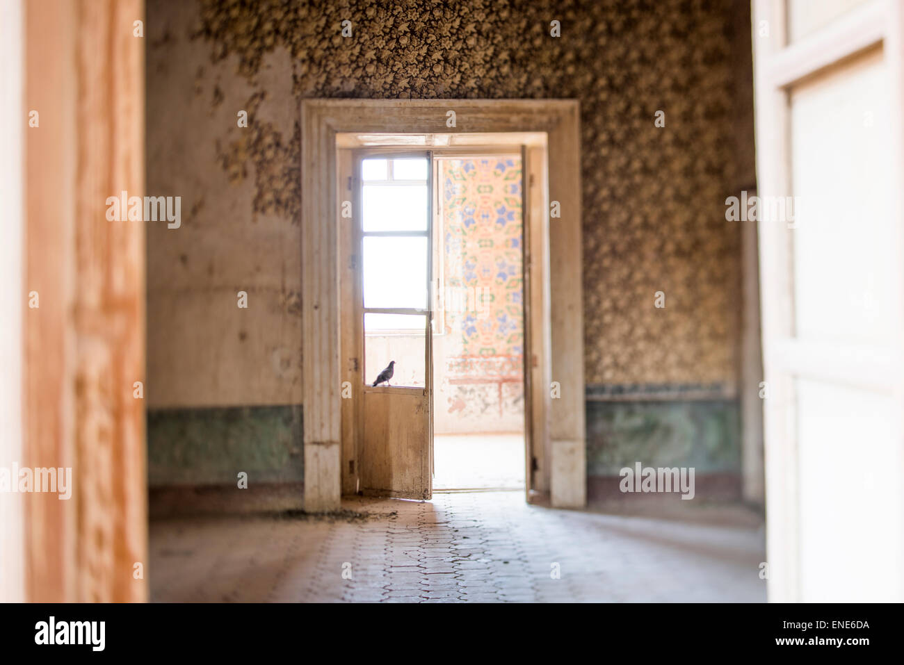 Pigeon in doorway of room with hand painted wallpaper at ex-Hacienda Jaral de Berrio in Mexico Stock Photo