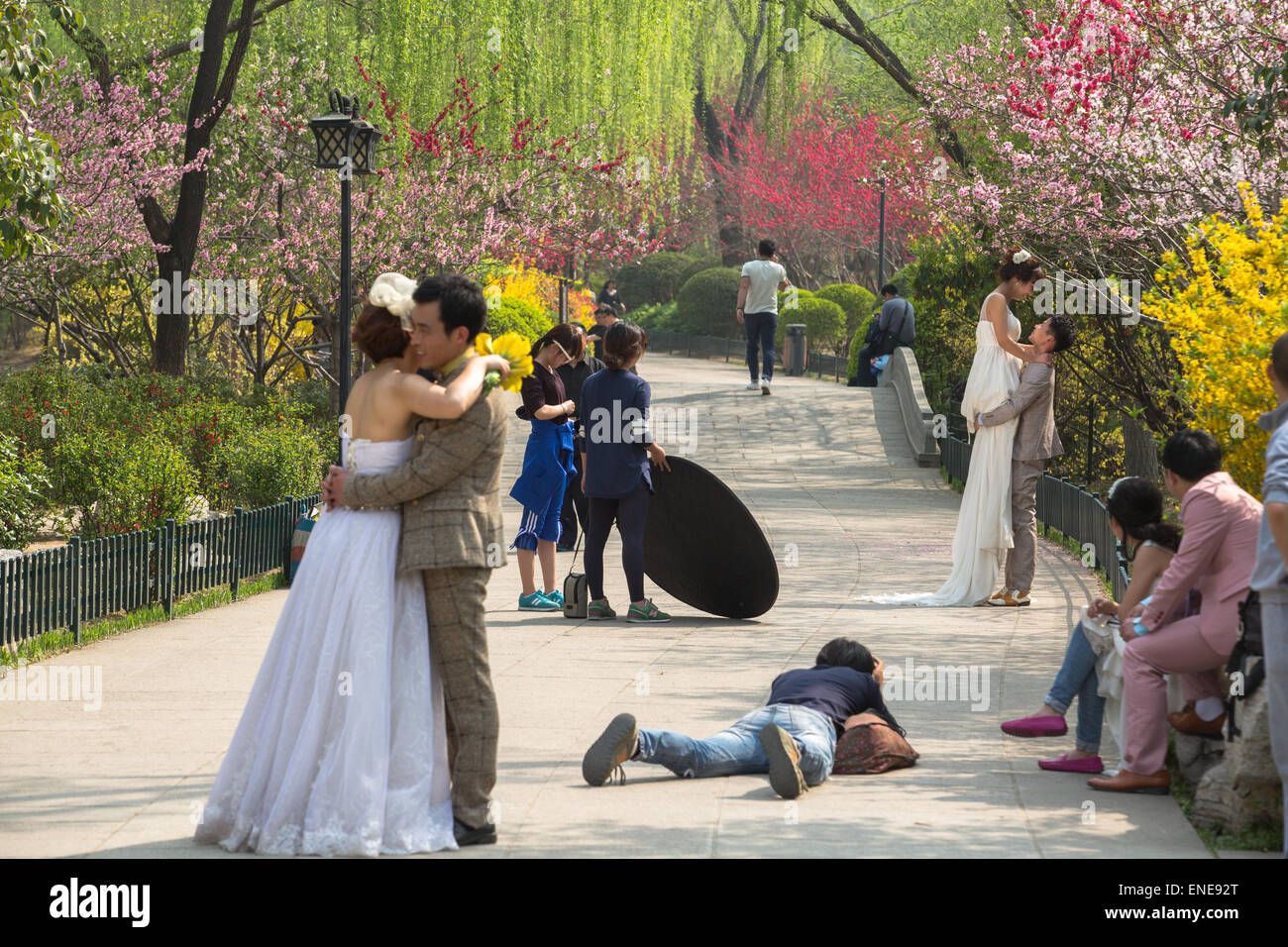 Chinese wedding photography in park Stock Photo