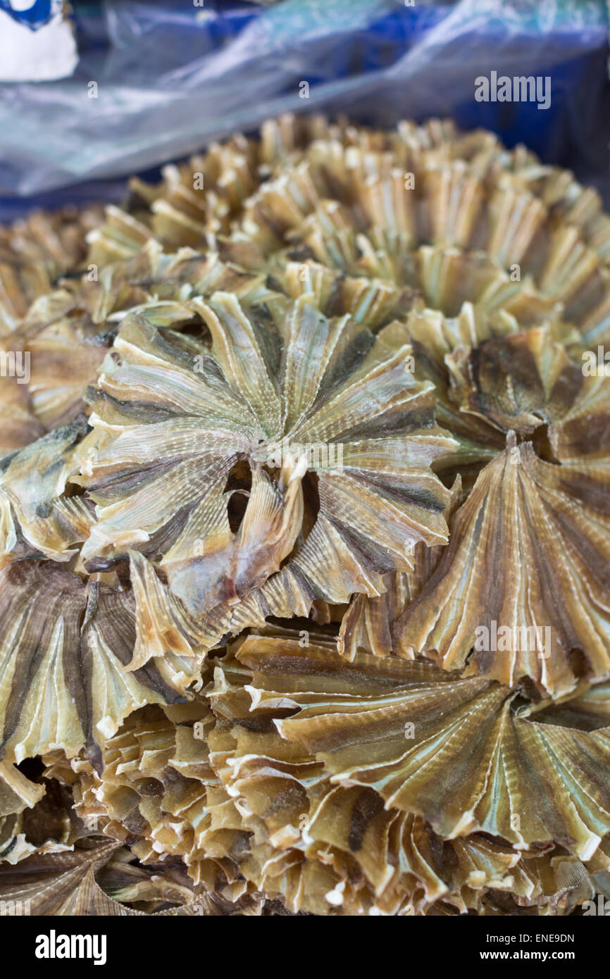 Dried seafood for sale in street market in Bangkok, Thailand, Asia
