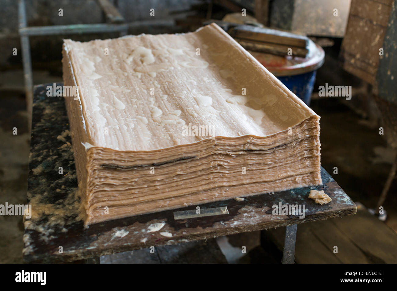 Jungshi Handmade Paper Factory, Thimphu, Bhutan, Asia Stock Photo