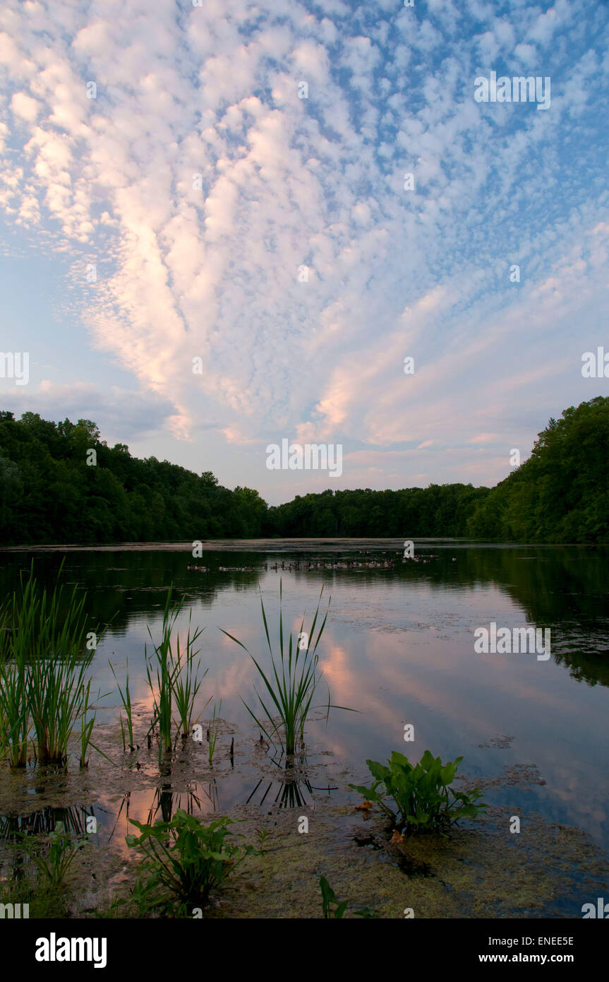 Lower Pond, AW Stanley Park, New Britain, Connecticut Stock Photo Alamy