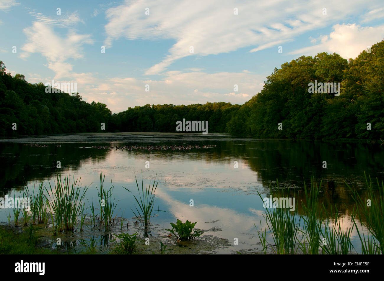 Lower stanley hires stock photography and images Alamy