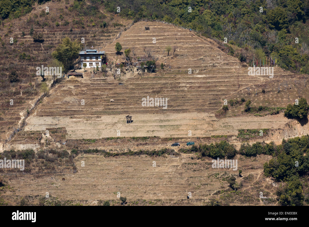Farm, fields and buildings, Western Bhutan, Asia Stock Photo