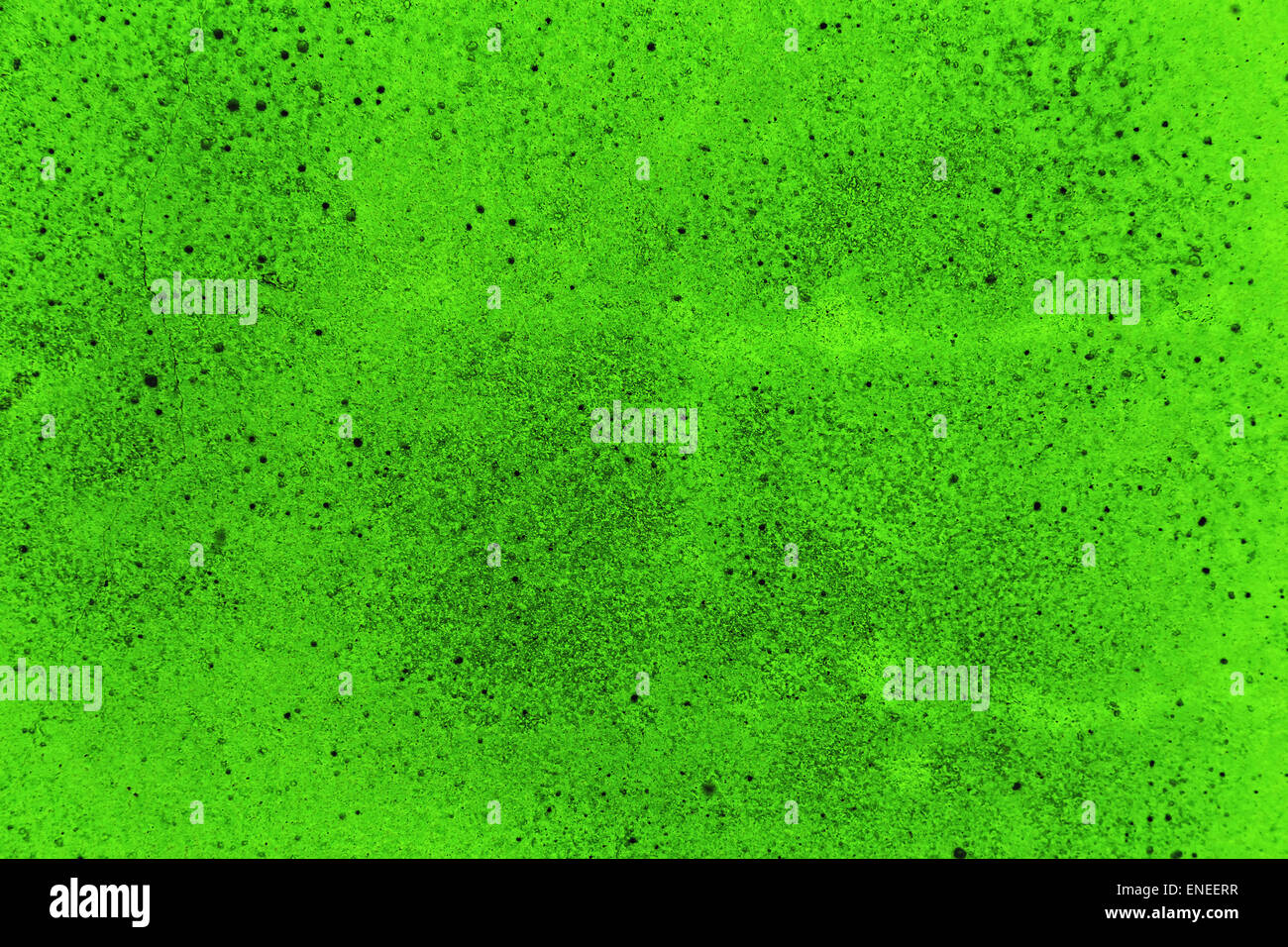 Grunge plaster cement or concrete wall texture green color Stock Photo