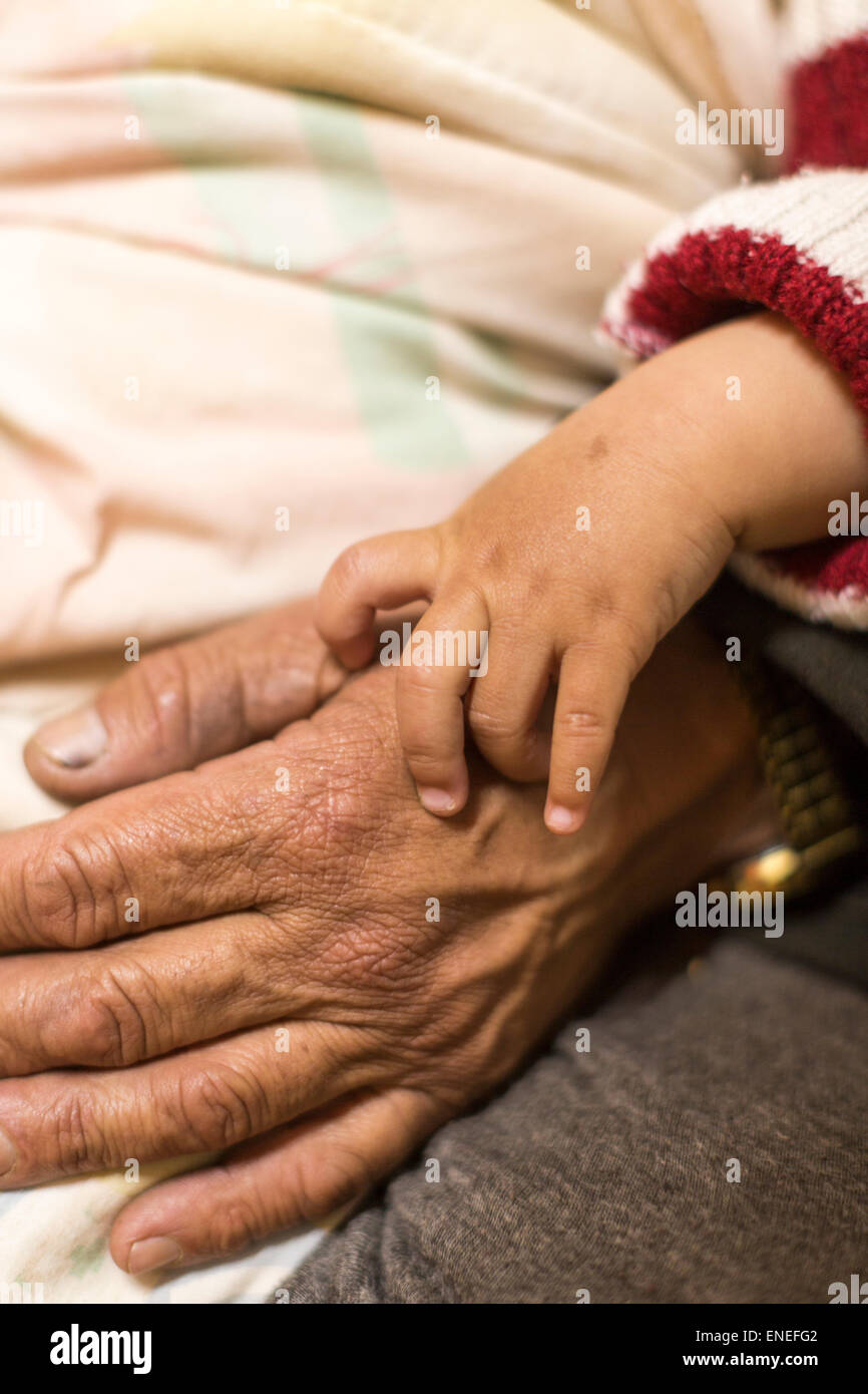 Close-up of child's hand and grandfather's hand, Phobjikha Valley, Western Bhutan, Asia Stock Photo