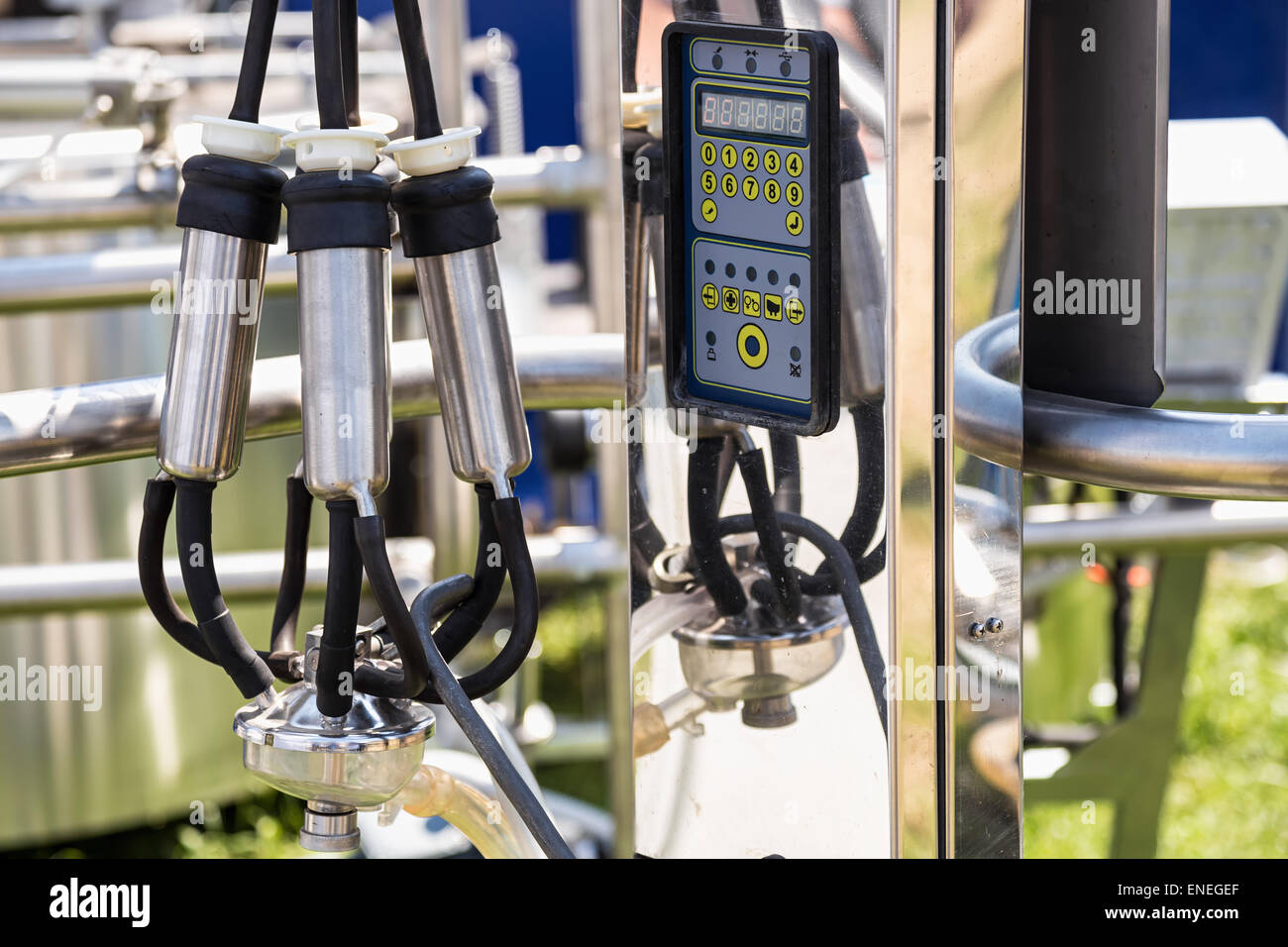 Automated mechanized milking equipment closeup for farmland industry Stock Photo